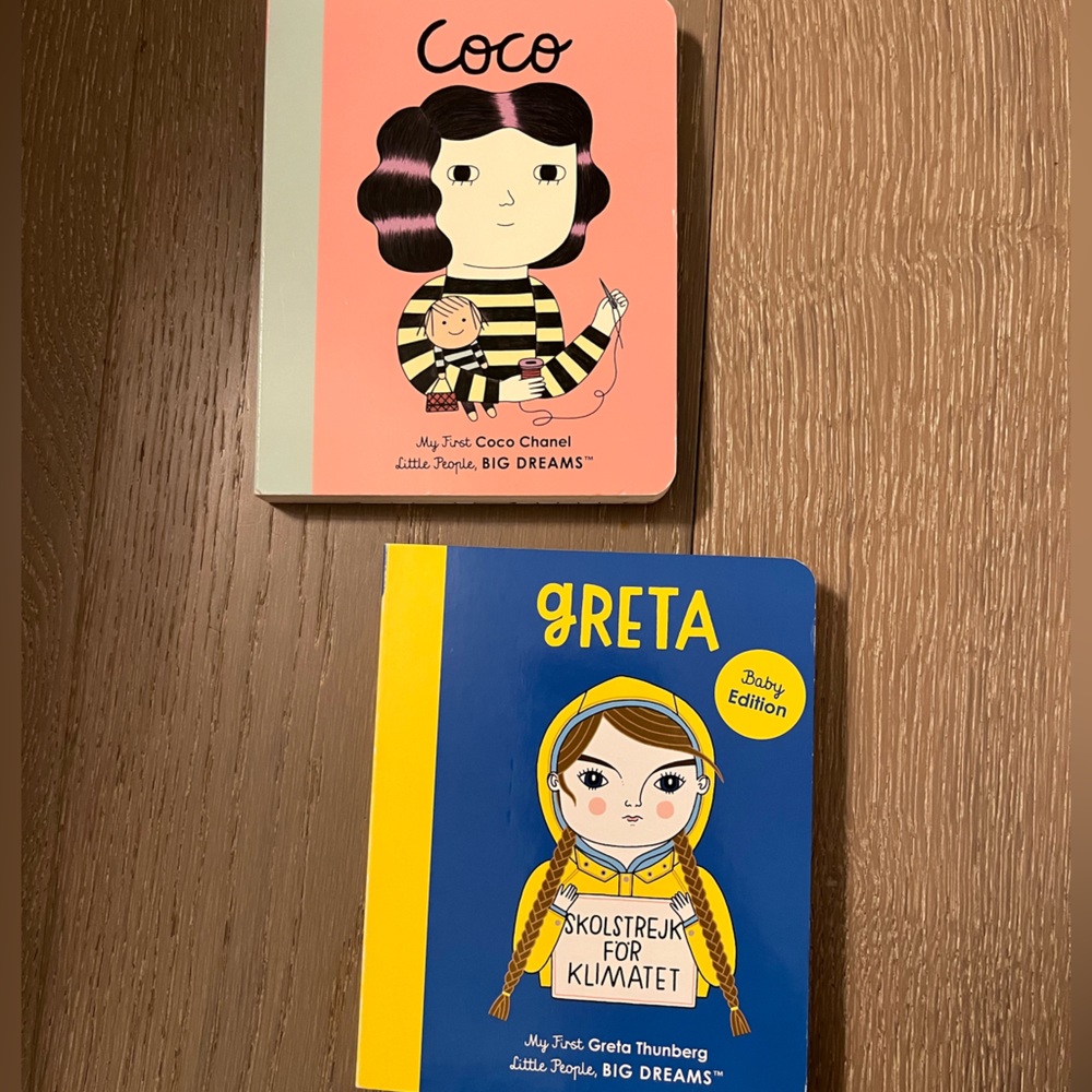 Coco and Greta book - little people big dreams
